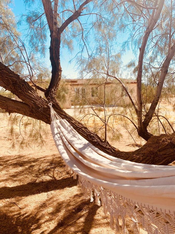 Casa Agave: Comfy Joshua Tree Cottage With Free Breakfast Bar Exterior foto