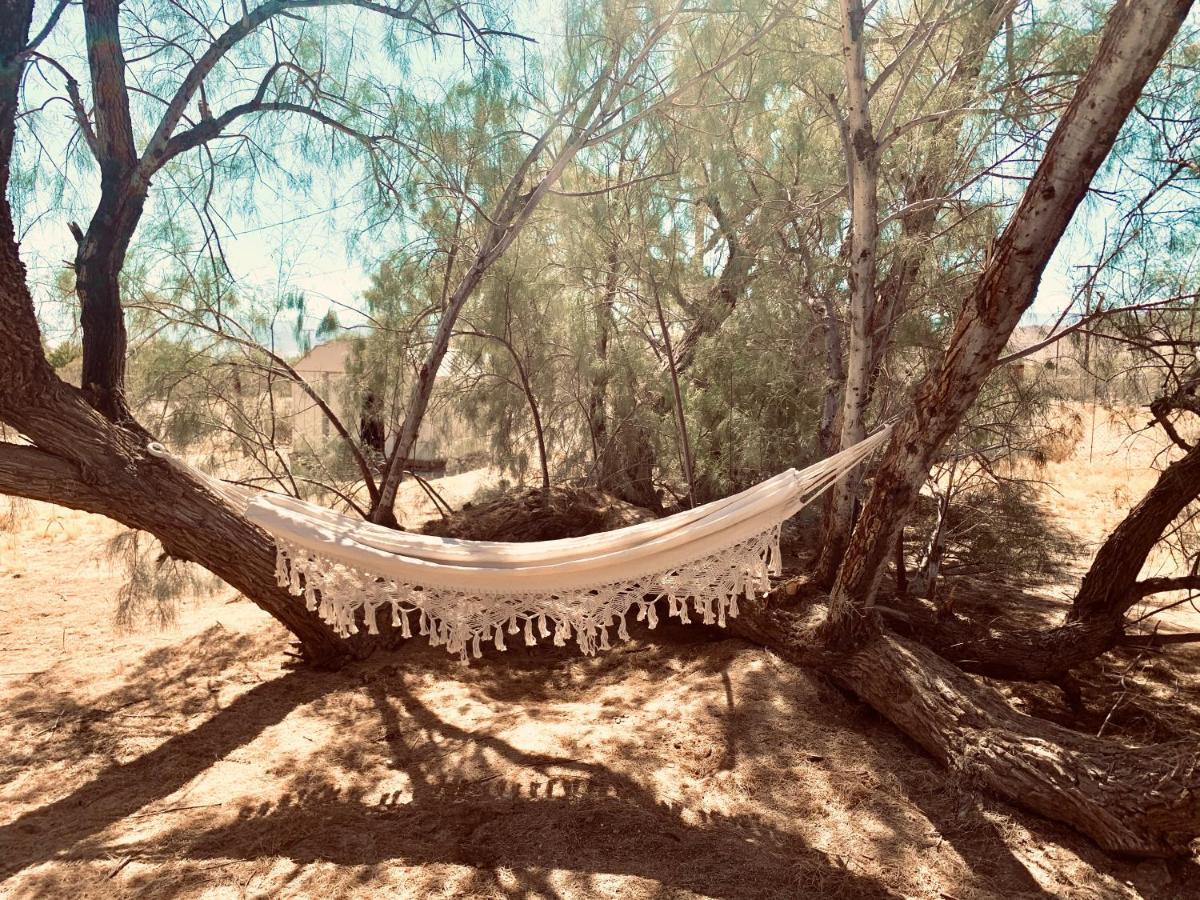 Casa Agave: Comfy Joshua Tree Cottage With Free Breakfast Bar Exterior foto