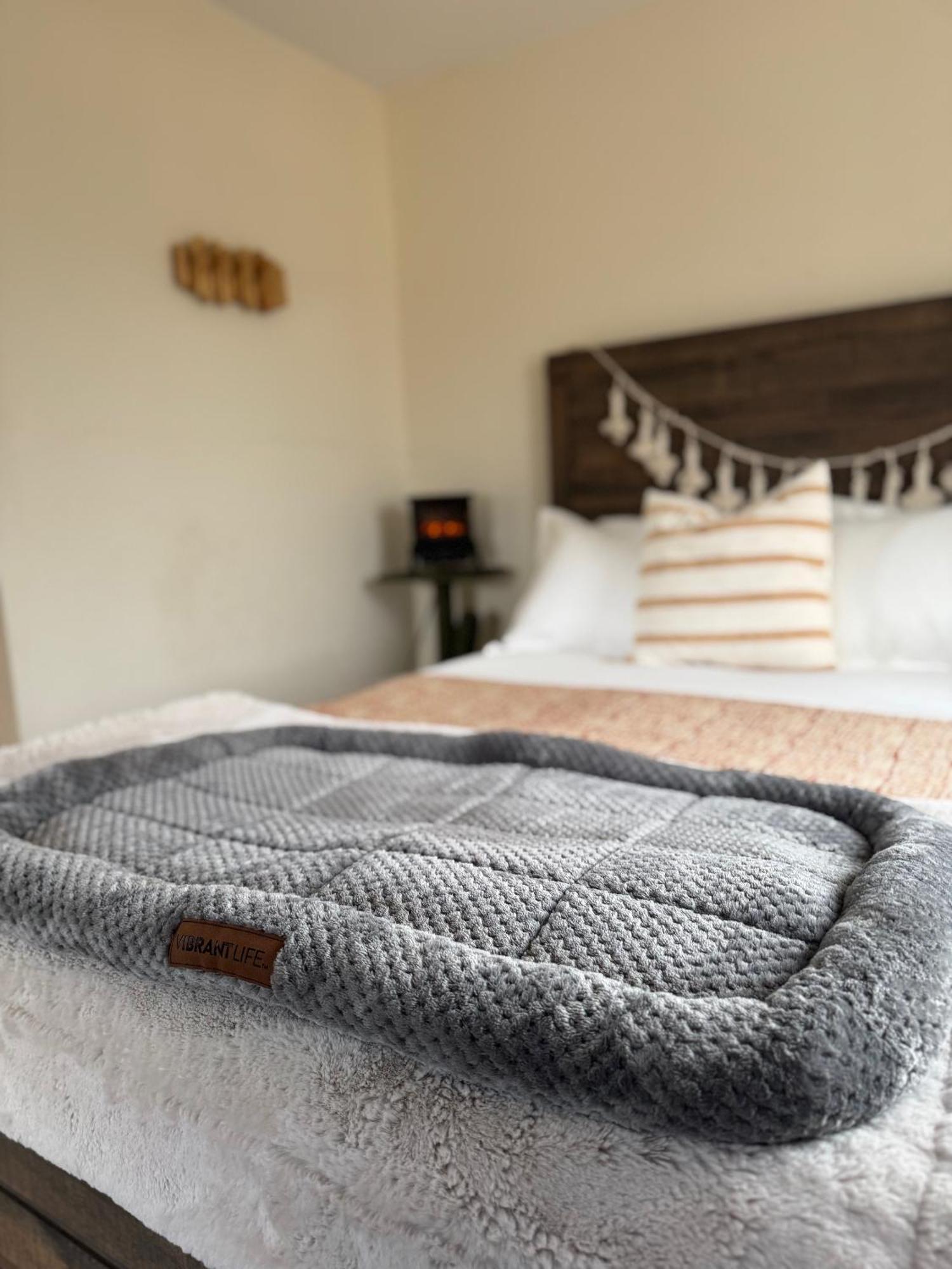 Casa Agave: Comfy Joshua Tree Cottage With Free Breakfast Bar Exterior foto