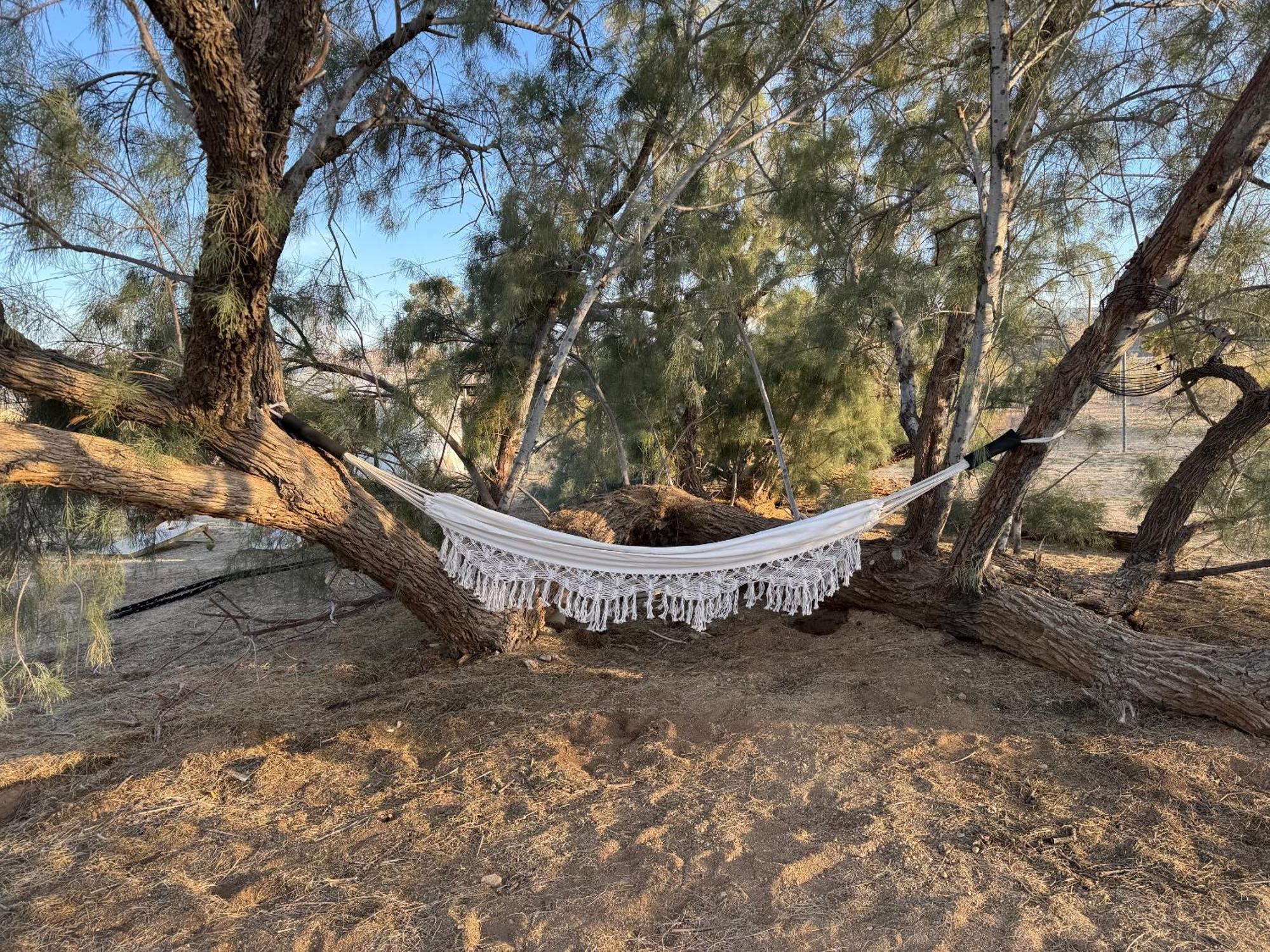 Casa Agave: Comfy Joshua Tree Cottage With Free Breakfast Bar Exterior foto